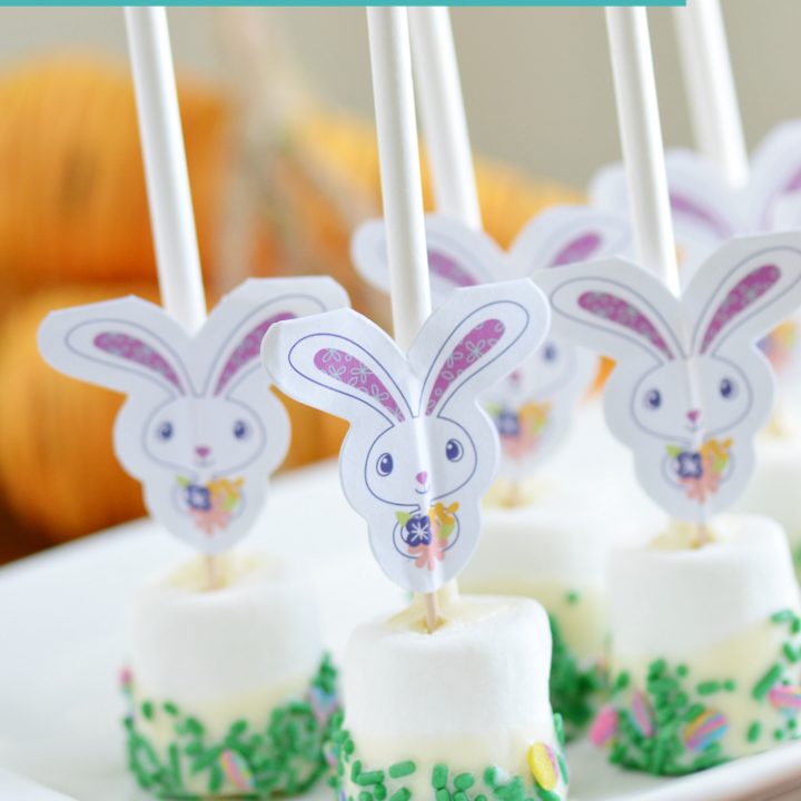 Image for Easter Bunny Marshmallow Pops