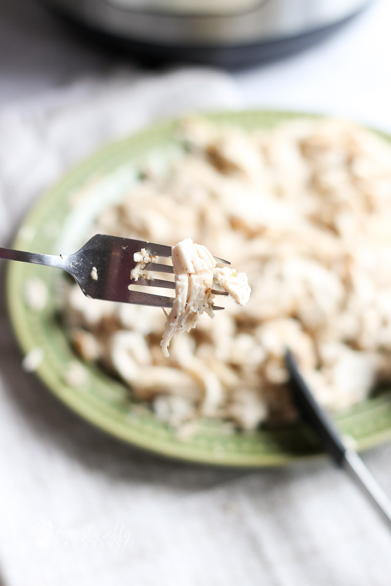 cooked and shredded chicken on fork