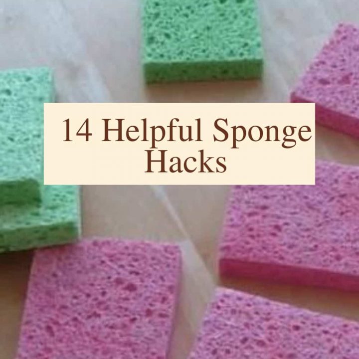 Image for 14 Helpful Sponge Hacks & How To Clean It