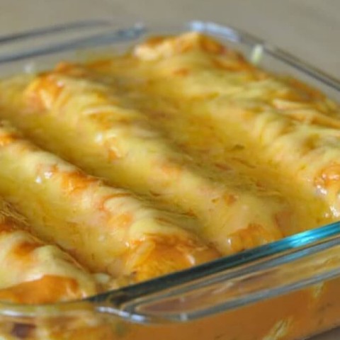 Image for Cheesy Chicken Enchiladas