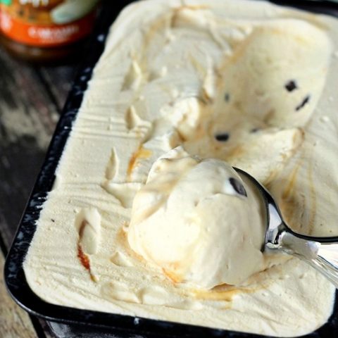 active scooping no churn chocolate chip caramel swirl ice cream