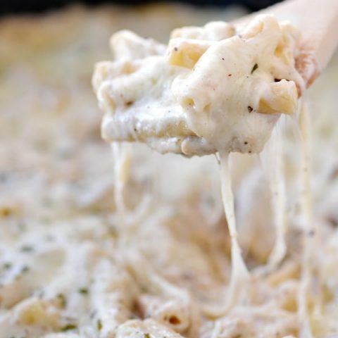 Image for Turkey Alfredo Ziti