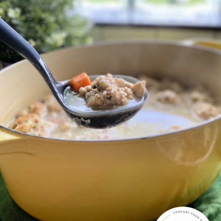 Image for Turkey and Stuffing Dumpling Soup
